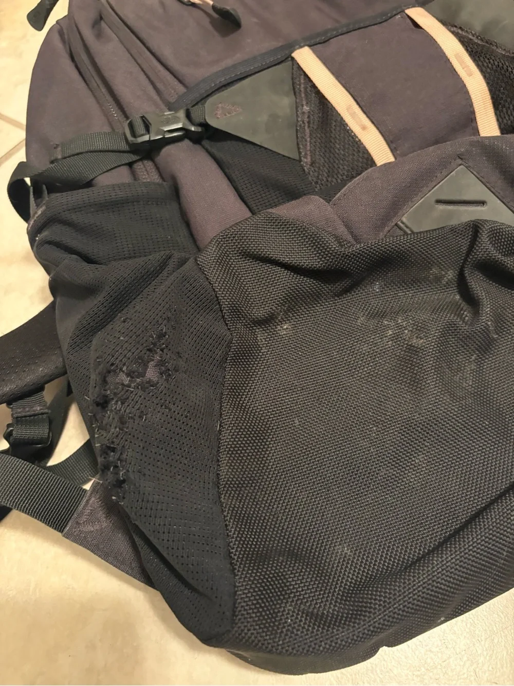 The North Face Black and Light Pink Backpack